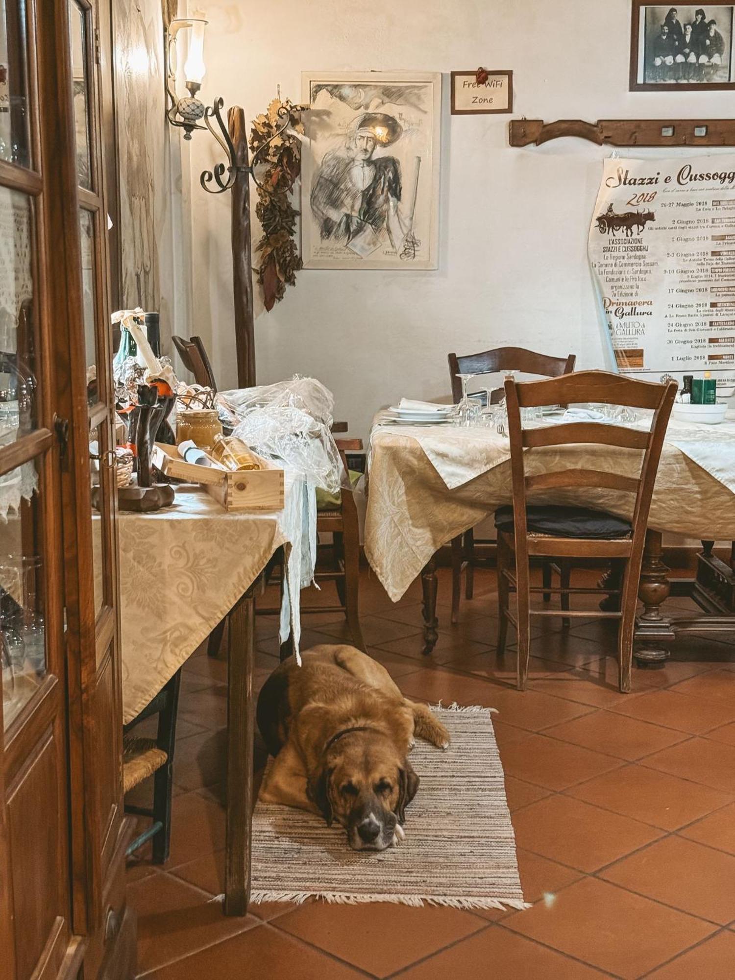 Agriturismo Il Muto Di Gallura Aggius Экстерьер фото