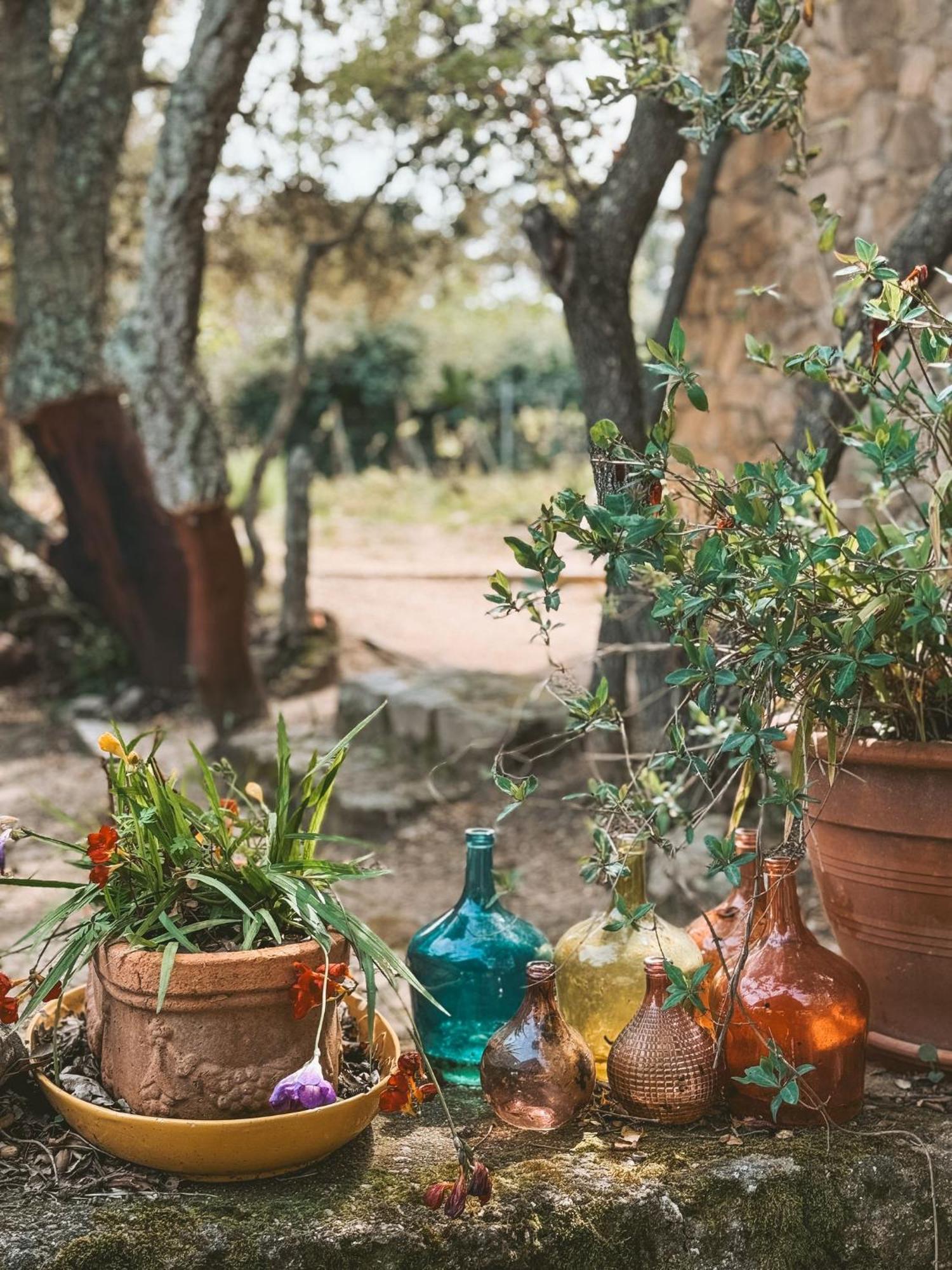 Agriturismo Il Muto Di Gallura Aggius Экстерьер фото