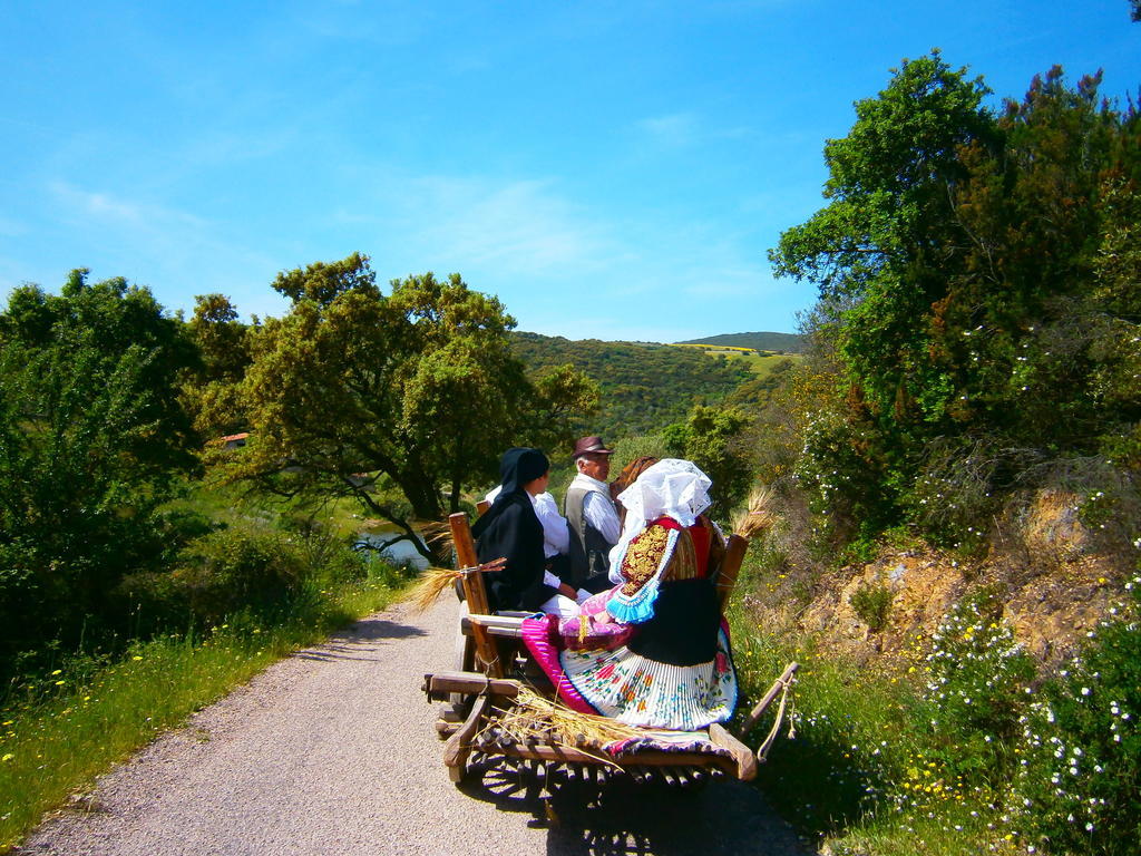 Agriturismo Il Muto Di Gallura Aggius Экстерьер фото