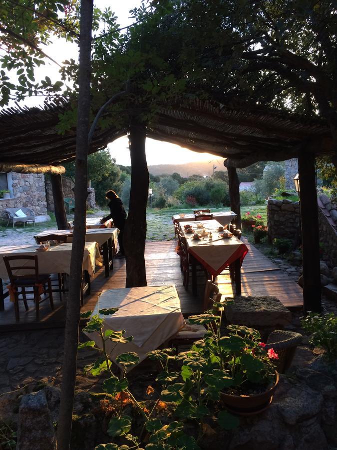 Agriturismo Il Muto Di Gallura Aggius Экстерьер фото