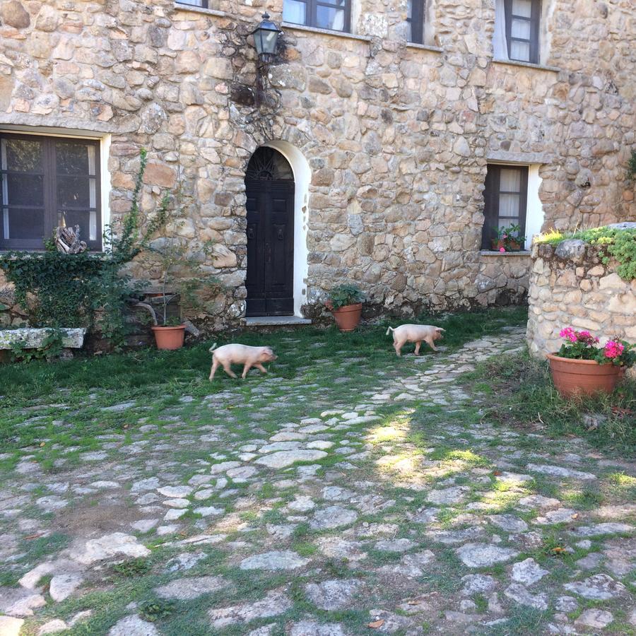 Agriturismo Il Muto Di Gallura Aggius Экстерьер фото