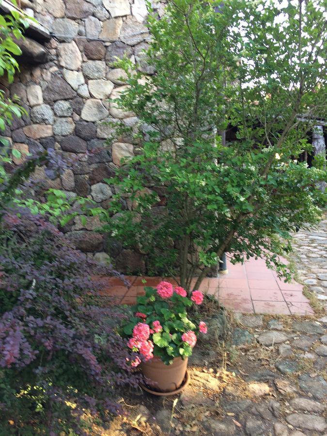 Agriturismo Il Muto Di Gallura Aggius Экстерьер фото